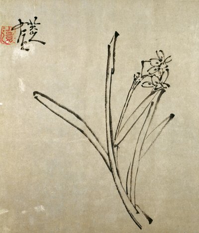 Narcissus by Chu Ta